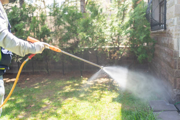 Best Bed Bug Extermination  in Woburn, MA