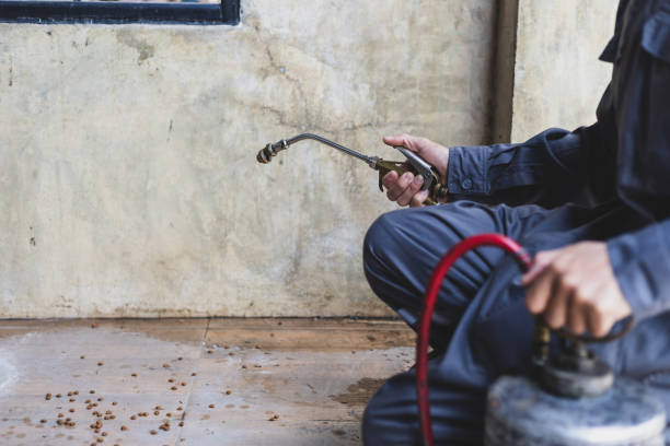 Best Mosquito Control Services  in Woburn, MA